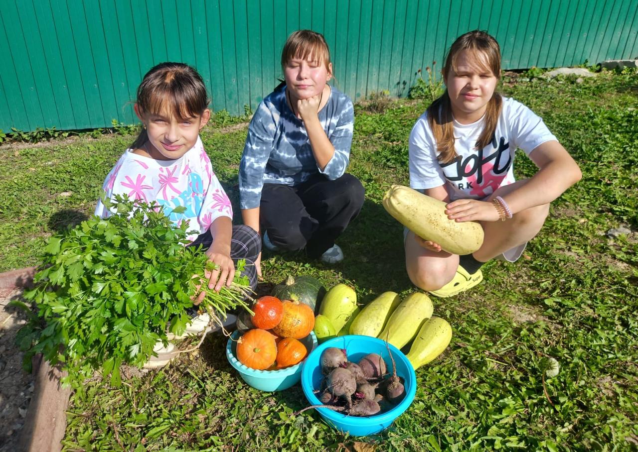 Осенние уроки: труд, дружба и ответственность