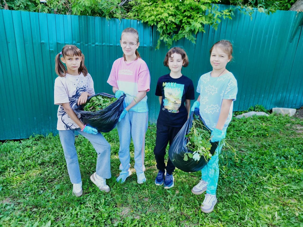 Ухаживаем за огородом