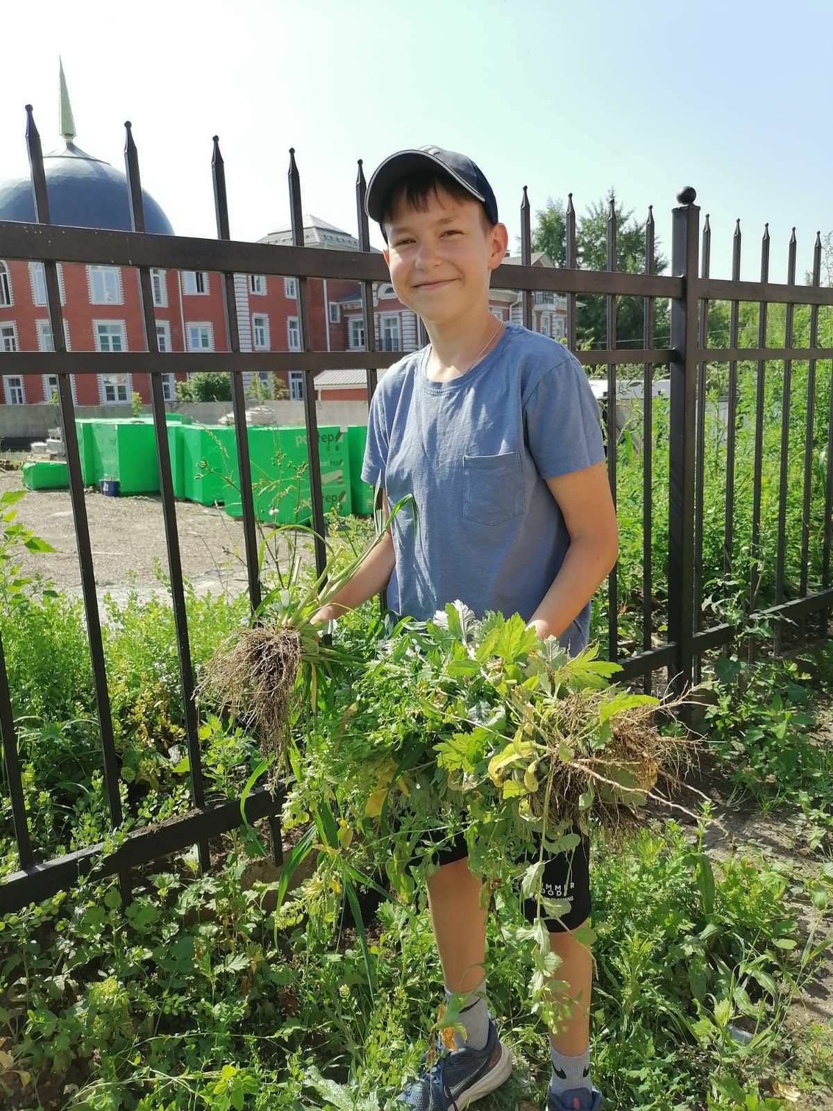 Борьба с сорняками