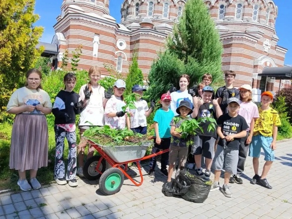 Полезные витамины