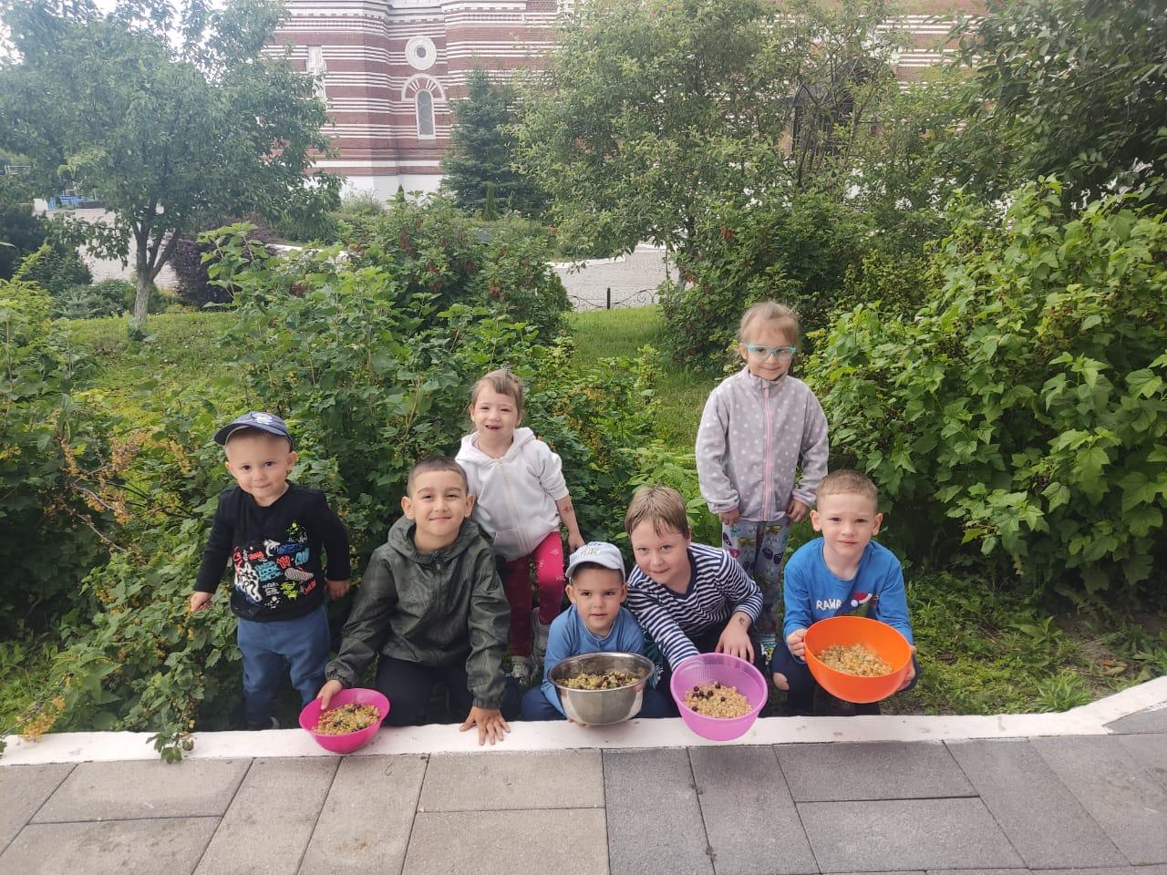 Наш первый урожай