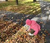 Наши юные эколята в деле! 