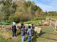 В гостях у пушистых и пернатых друзей