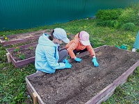 Огород - кормит весь год!