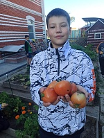 Собираем урожай!