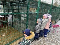 Зимние прогулки