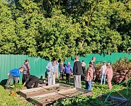 Урожай собран!