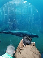 Один день в Московском зоопарке