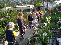 Малыши посетили строительный рынок, несколько его павильонов, и окунулись в мир садовых растений