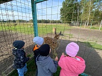 В гостях у пушистых и пернатых друзей