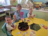 Лук - наш друг!