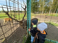 В гостях у пушистых и пернатых друзей