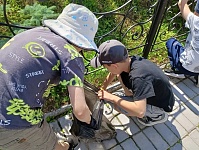 Полезные витамины
