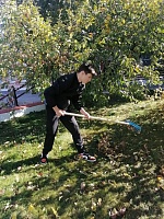Трудовые каникулы