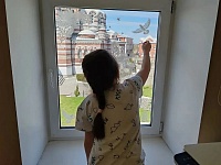 "Окна Победы"