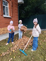 Трудовые каникулы