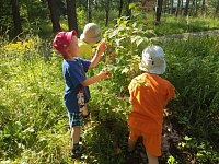 Волшебный отдых в санатории "Вятичи"