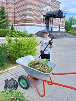 Полезные витамины