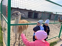 В гостях у пушистых и пернатых друзей