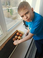 Лук - наш друг!