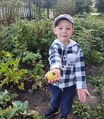 Осенние уроки: труд, дружба и ответственность