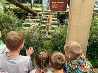 Один день в Московском зоопарке