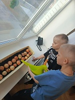 Лук - наш друг!