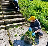 Эко-акция «Чистый памятник». 