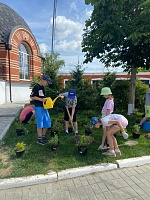Облагораживание территории. 