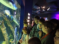 Знакомство с подводным миром: воспитанники центра посетили Москвариум