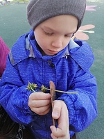 Яркие идеи для прогулки: львята из одуванчиков!