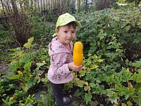 Осенние уроки: труд, дружба и ответственность