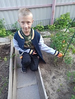 Собираем урожай!