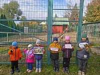 День защиты животных