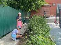 Борьба с сорняками