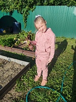 Урожай собран!
