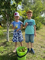Собираем урожай с домашнего огорода!