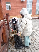 "Чистый Двор"