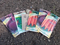 Огород - кормит весь год!