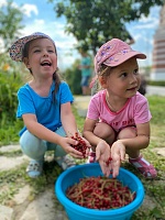 Собираем урожай с домашнего огорода!