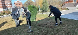 Чистый двор