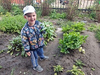 Осенние уроки: труд, дружба и ответственность