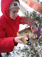 Участие в экологической акции "Покорми птиц зимой"