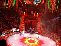 Московский цирк Никулина.