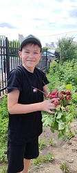 Наш огород