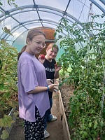 Ухаживаем за огородом