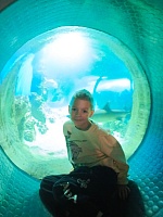 Знакомство с подводным миром: воспитанники центра посетили Москвариум