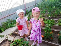 Лето - урожайная пора!