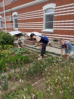 Борьба с сорняками