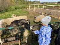 В гостях у пушистых и пернатых друзей